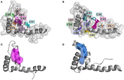 Discovery of 5,5′-Methylenedi-2,3-Cresotic Acid as a Potent Inhibitor of the Chemotactic Activity of the HMGB1·CXCL12 Heterocomplex Using Virtual Screening and NMR Validation